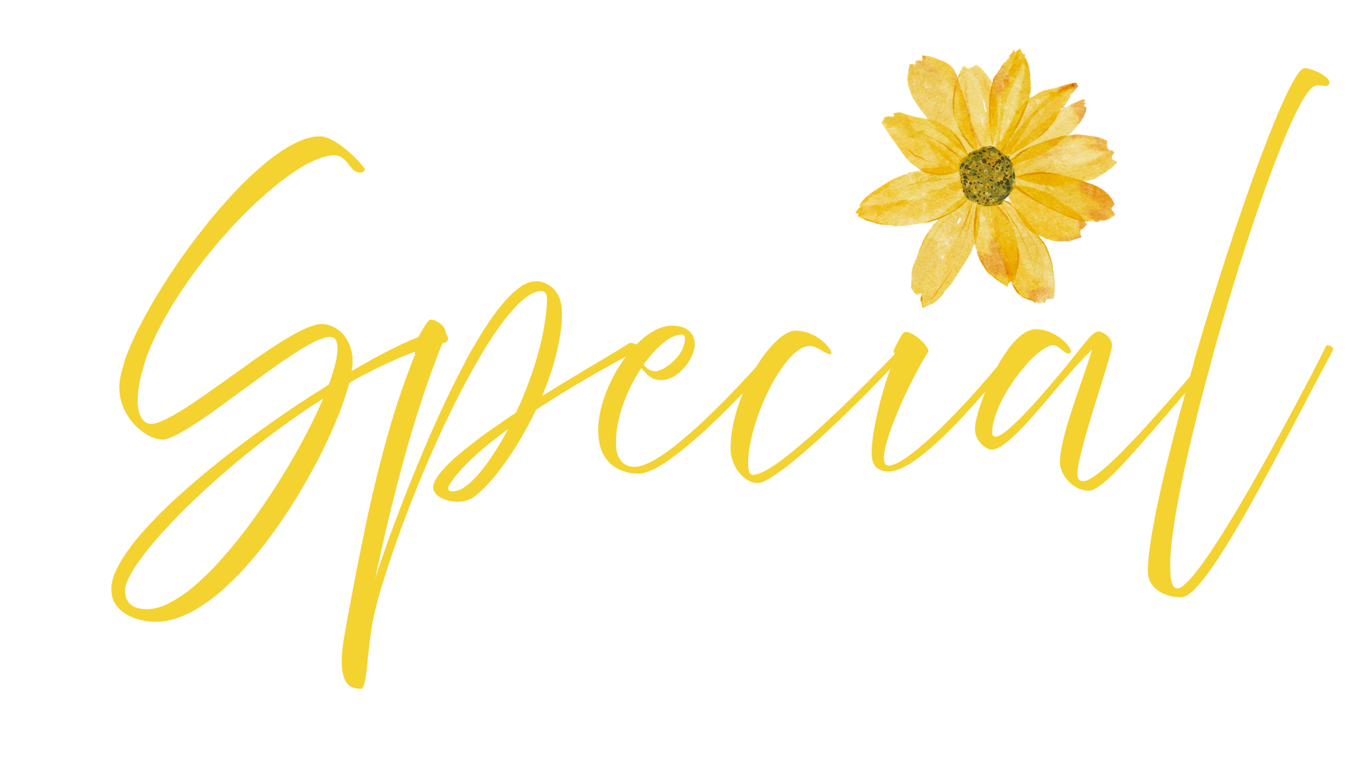 Sedibogolo Home - Spring Special - HOME T2-10